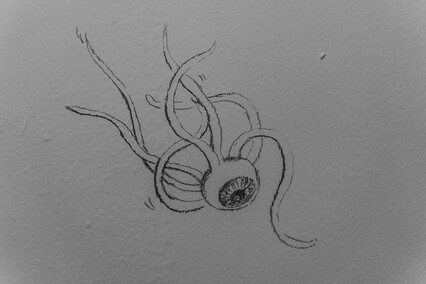 Suche oczy w Galerii EL