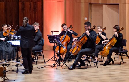 Podróż po Europie z elbląskimi kameralistami