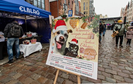 Czas na Świąteczne Spotkania Elblążan