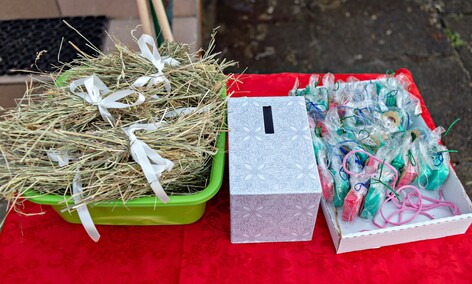 Kolędowanie dla Mikołajka