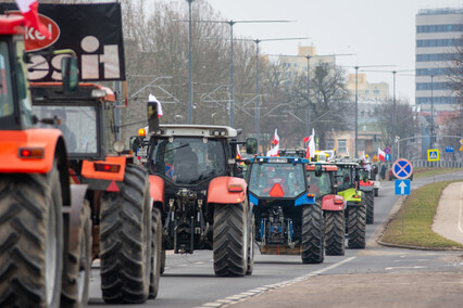 \"Potrzebujemy konkretnych rozwiązań\". Rolnicy protestowali na ulicach Elbląga