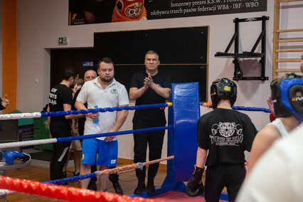 Tygrys odwiedził Tygrysy