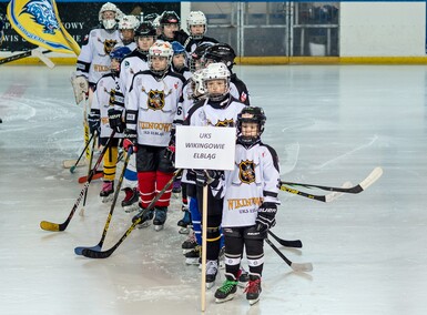 Wikingowie z hokejowym krążkiem