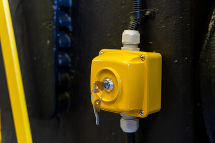 Szerszeń z Elbląga