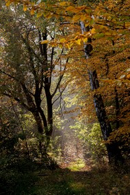 Jacek Szulecki: A potem do ciemni...