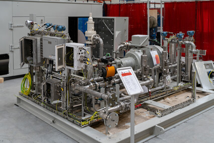 Rockfin, czyli Dobra Novina dla Elbląga