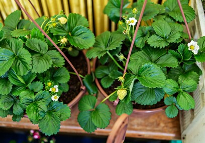 Przyroda, która scala pokolenia