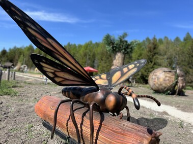 Dzień Dziecka w Parku Rozrywki Nowa Holandia pod Elblągiem!