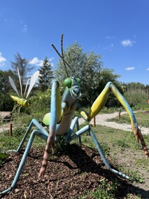 Dzień Dziecka w Parku Rozrywki Nowa Holandia pod Elblągiem!