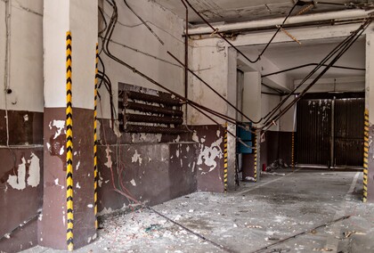 W dawnej komendzie Żubr hasa