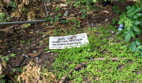 W dawnej komendzie Żubr hasa