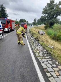 Kolizja na drodze nr 22. Ruch był zablokowany  (aktualizacja) 