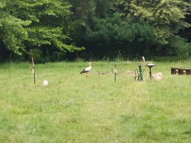 Prezes Fundacji Dumni z Elbląga: \"Mam dość tego cyrku\"