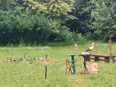 Prezes Fundacji Dumni z Elbląga: \"Mam dość tego cyrku\"