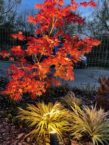 Twój ogród, nasza pasja. Profesjonalne projektowanie i zakładanie ogrodów