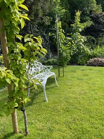 Twój ogród, nasza pasja. Profesjonalne projektowanie i zakładanie ogrodów