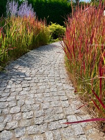 Twój ogród, nasza pasja. Profesjonalne projektowanie i zakładanie ogrodów