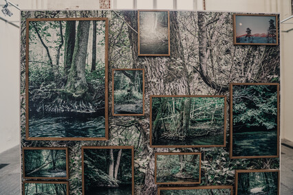 Panta rhei w galerii