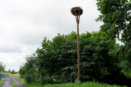 Bociani punkt widzenia