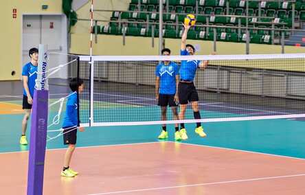 Japończycy trenują w Elblągu