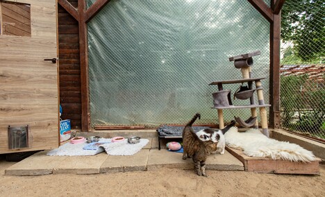 To ma być koniec łańcuchów, pseudohodowli i psiego smalcu