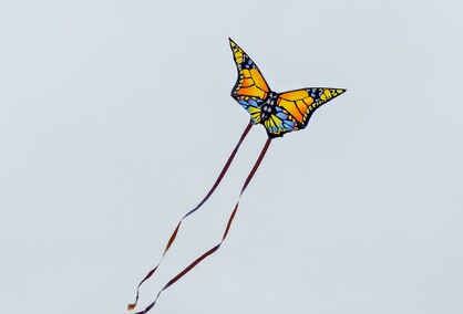 W Święcie Wiatru deszcz nie przeszkodzi