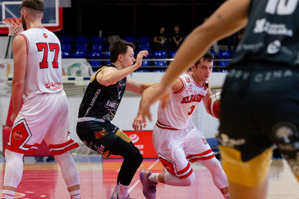 Kangury nie podskoczyły Elbasketowi