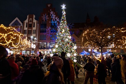 Rozbłysła choinka, czas zacząć jarmark