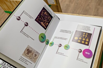 Skarby wikingów i polityka