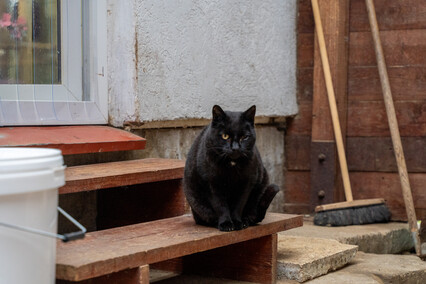 Patryk Bilski: Powiem przekornie, że wolałbym tej pracy nie mieć