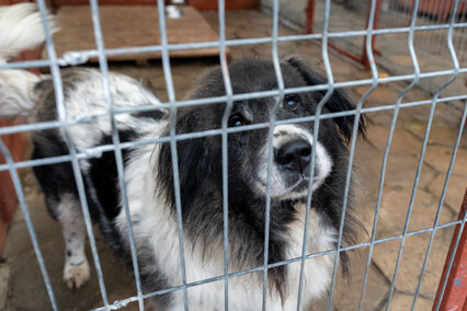 Patryk Bilski: Powiem przekornie, że wolałbym tej pracy nie mieć