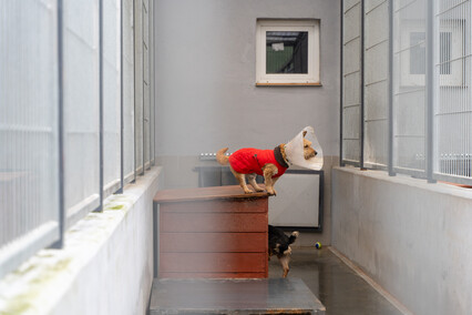 Patryk Bilski: Powiem przekornie, że wolałbym tej pracy nie mieć