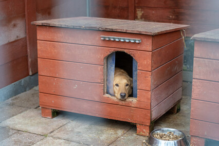 Patryk Bilski: Powiem przekornie, że wolałbym tej pracy nie mieć