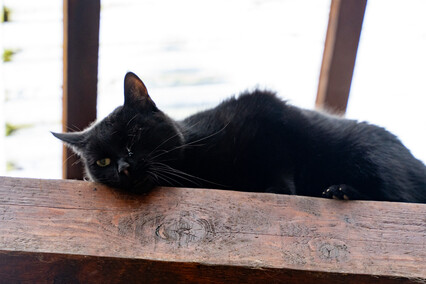 Patryk Bilski: Powiem przekornie, że wolałbym tej pracy nie mieć