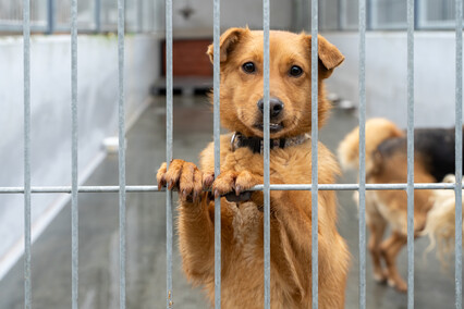 Patryk Bilski: Powiem przekornie, że wolałbym tej pracy nie mieć