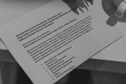 Krużganek przed tęczowym mostem