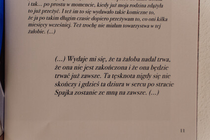 Krużganek przed tęczowym mostem