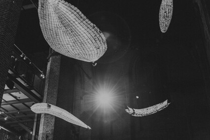 Ławica stworzeń w Galerii EL