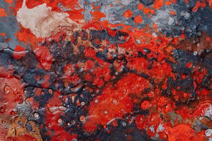 Ławica stworzeń w Galerii EL