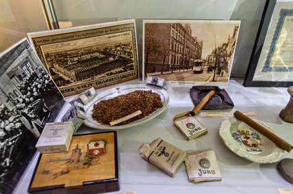 Historia z ekranu i na wystawach