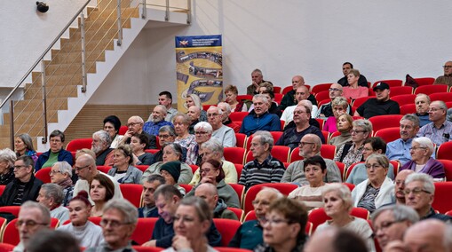 Historia z ekranu i na wystawach