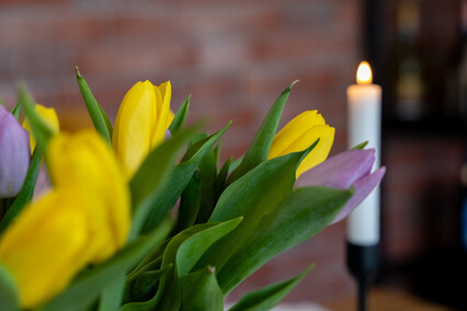 Przystań Smaków w Stegnie -  kulinarna perełka Mierzei