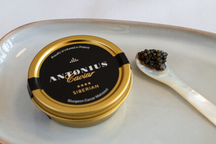 Przystań Smaków w Stegnie -  kulinarna perełka Mierzei