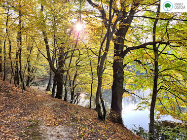 Elbląg jakiego nie znasz. Nowe osiedle z widokiem na miasto i wyjątkowym standardem!