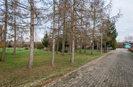 Wiesława Pokropska: Jesteśmy w światowej czołówce