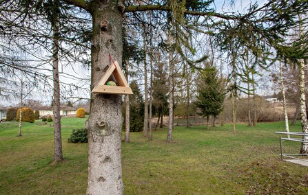 Wiesława Pokropska: Jesteśmy w światowej czołówce