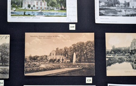 Wysoczyzna w Bibliotece