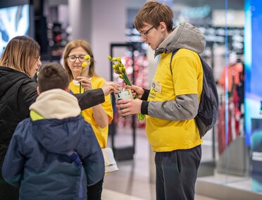 Żonkilowe kwestowanie