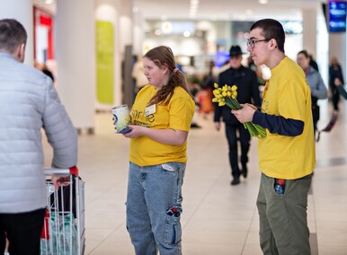 Żonkilowe kwestowanie