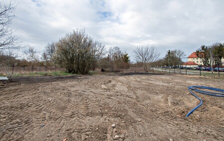 Teresa Bocheńska: Bank Żywności czekają duże zmiany